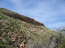 PICTURES/Tonto National Monument Upper Ruins/t_104_0498.JPG